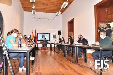 Pleno ordinario de diciembre de 2020/Francisco Javier Santana.